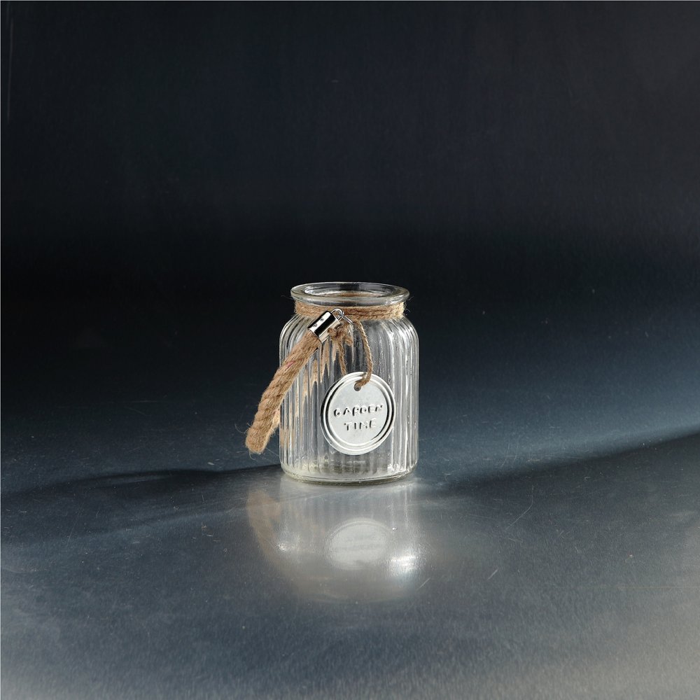 6" Clear Jar Shaped Ribbed Glass Vase with Rope Handle