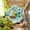 F, variant on New! Hanging Glass Birdfeeder, Round Fly Through Wild Bird Feeder for Outdoors,Blue/Green Mosaic Birdfeeder for Garden, Yard, Backyard, Deck and Porch Decor C