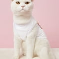 thumbnail image 5 of Trendy Cats T-shirt - Letter Print Summer Attractive Pet Tops for Home Wear, 5 of 8