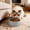 Gray, variant on Fmbmuo Plastic Dog Bowls Large Capacity Non-Slip Green Cat Bowls, Large Minimalist Easy to Clean Pet Bowls, Suitable for Singles Pets