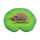 thumbnail image 1 of Escultura de tortuga sobre hoja de loto, 9,9 x 3,6 cm, decoración paisajística multiusos, estatua de resina para acuarios, ligera., 1 of 9