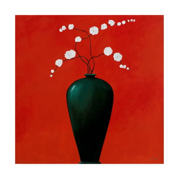 Trademark Fine Art 'Green Vase Over Red' Canvas Art by Pablo Esteban