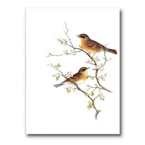 Designart ' Ancient Mammals II ' Farmhouse Canvas Wall Art Print