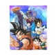 thumbnail image 3 of Cobertor Providencia Matrimonial Serenity Dragon Ball, 3 of 4
