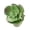 A, variant on Artificial Succulent Plants, Faux Cactus Decor for Home Office