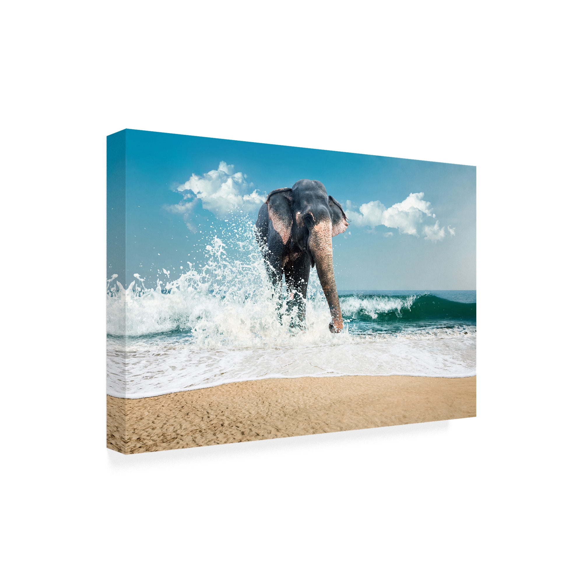Trademark Fine Art 'Elephant On The Beach' Canvas Art by PhotoINC Studio