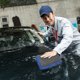thumbnail image 3 of GOOHOCHY Paño de limpieza para coche, toalla de microfibra, trapo de limpieza, paño lavable para quitar el polvo, para el coche y el hogar, 3 of 8
