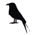 thumbnail image 3 of 2Pcs Realistic Feathered Bird, Artificial Black Crows Ravens for Garden Outdoor, 3 of 10
