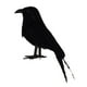 thumbnail image 3 of 2 X de negro realistas de plástico Estatua de pájaro Decoración de de Halloween, 3 of 9