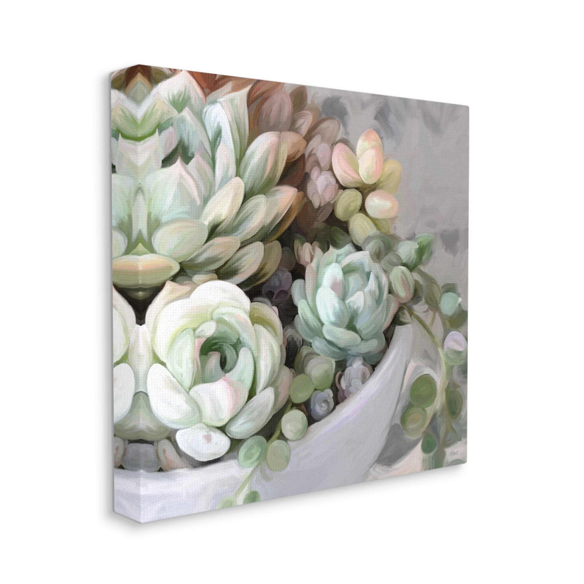 Stupell Industries Succulent Plant Arrangement Botanical & Floral Painting Gallery Wrapped Canvas Print Wall Art, 24 x 24