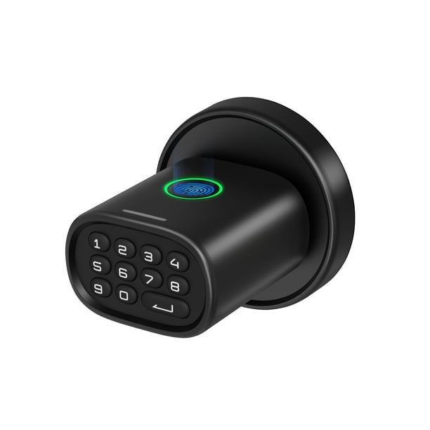 Cerradura de puerta de entrada sin llave ThorBolt MD1 con huella digital negra