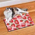 thumbnail image 2 of Dog Food Mat 16x24 Inch Pet Feeding Mat with Cute Strawberry Print, Durable Absorbent Waterproof Non-Slip Mat for Dogs and Cats, Quick Dry, Easy Clean Fresh Summer Berry Design, 2 of 6
