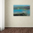 thumbnail image 3 of Trademark Fine Art 'Killala Bay IV' Canvas Art by Grainne Dowling, 3 of 3