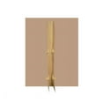 thumbnail image 2 of Declaration of Independence Cardboard Cutout, 2 of 3