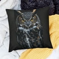 thumbnail image 2 of SHANXI Throw Pillow Covers Night n Angry Animal Bird Birds Eye 18x18in, 2 of 5