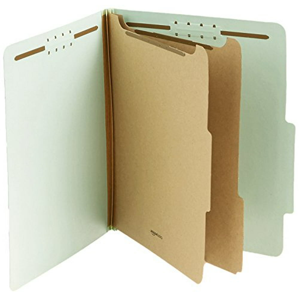 Basics Pressboard Classification File Folder with Fasteners, 2 Dividers
