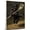 Affenpinscher, variant on Norwegian Buhund Vintage Dog Lacrosse Canvas – Artistic Sports, Norwegian Buhund Dog with Lacrosse Stretched Canvas Size 8x12 Wall Print for Bedroom, Living Room, Office