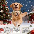 thumbnail image 1 of BAOPAI Custom Pattern Pet SCarsf Towel Soft Elastic Absorbent Breathable for Cats Dogs Birthday Christmas Gift Outing Accessories, 1 of 9