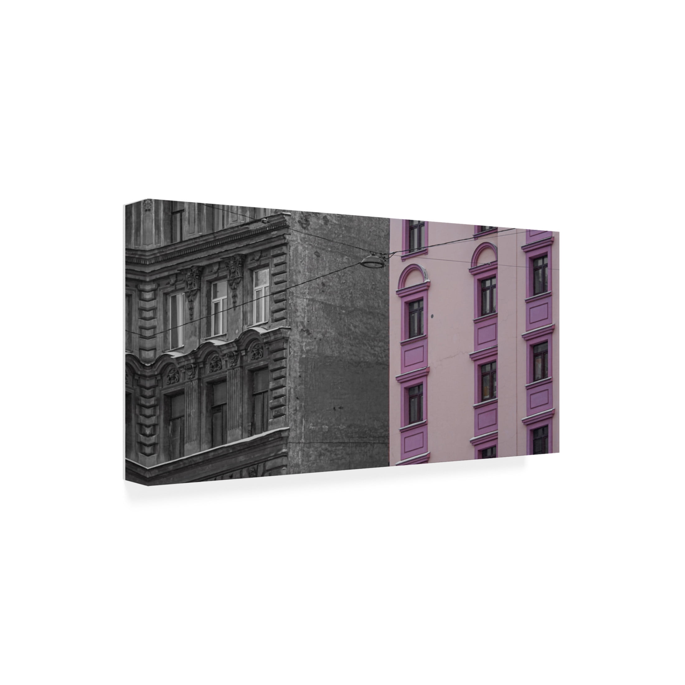 Trademark Fine Art Yuriy Grytsiv Blackapink Canvas Wall Art