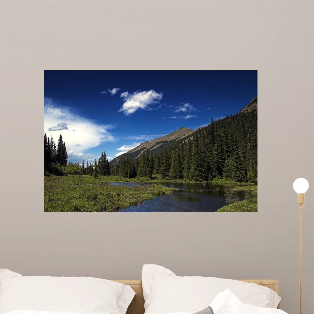 Mountain River Landscape Colorado Wall Mural by Wallmonkeys Peel and ...