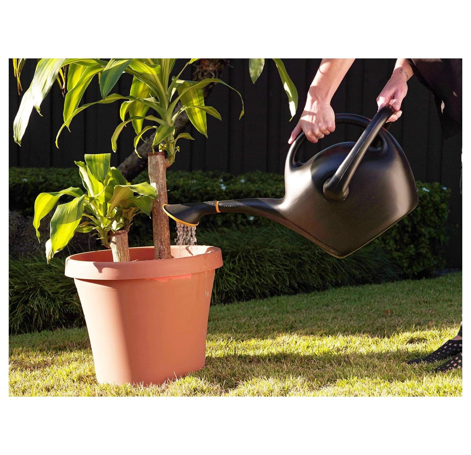 Easy Pour Watering Can, 2.6 Gallon, Black (20-47287CP)