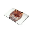 thumbnail image 2 of CADecor Fox Doormat Indoor Outdoor Floor Rug 23.6x15.7 inches, 2 of 2