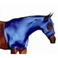 thumbnail image 2 of Vêtements de Nuit pour Chevaux, Capuche Bleue S, 2 of 2