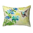 thumbnail image 1 of Betsy Drake NC1009 Oreiller Intérieur et Extérieur Sans Cordon 16 x 20 Po Aqua Colibri, 1 of 1