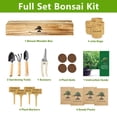 thumbnail image 2 of Bonsai Tree Kit, Bonsai Starter Kit with Seeds & Tools, Tree Live Plants Indoor, Gardening Gifts for Women Men Mom Father Plant Lover, Birthday Thanksgiving, 2 of 12