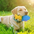 thumbnail image 4 of Interactive Freezable Dog Chew TPR Pet Teether for Teeth Cleaning and Gum Massage, 4 of 5