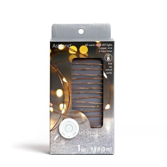 40ct. Warm White Copper Wire LED String Lights by Ashland