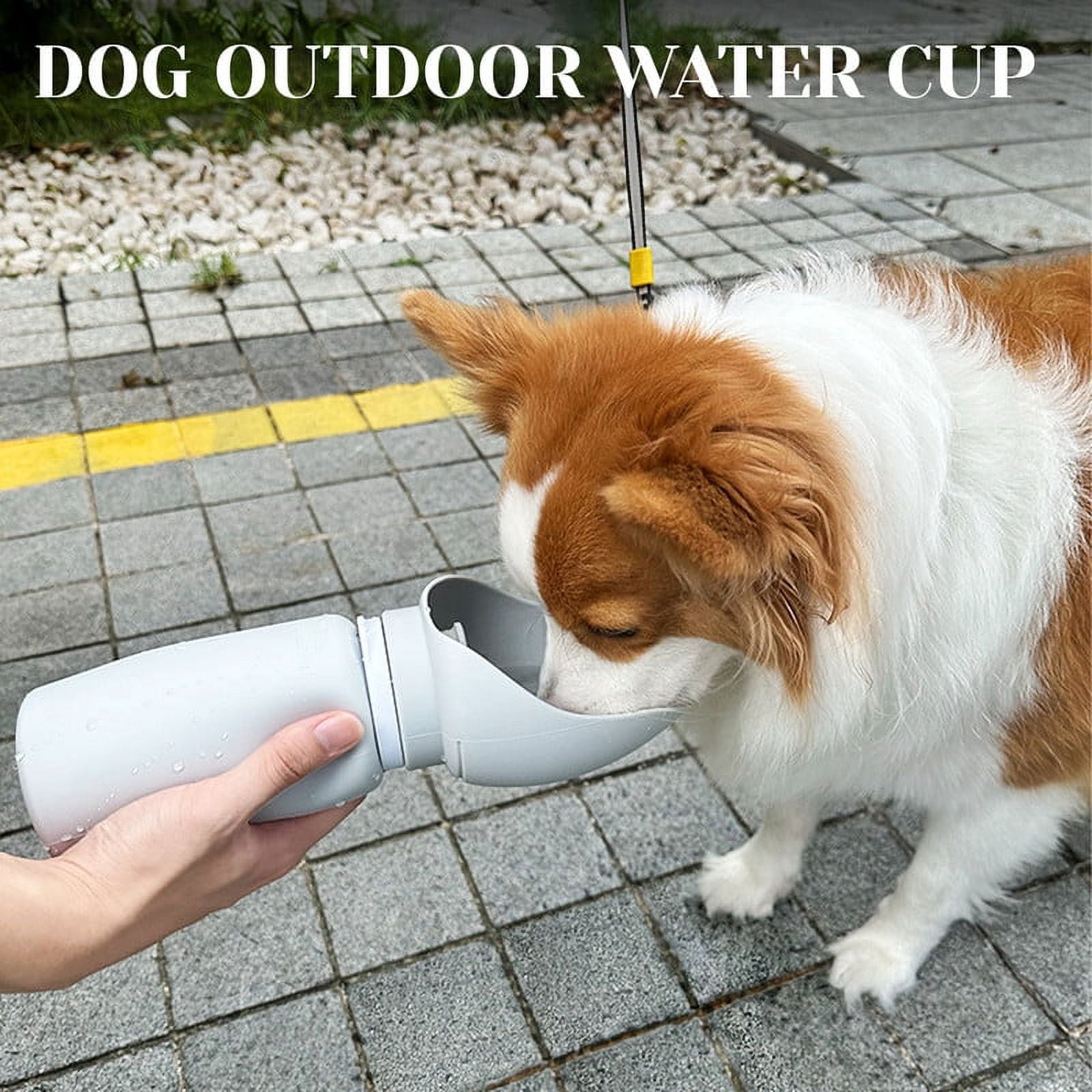 LONGHEXINA 2 Pcs 550ML Dog Water Bottle Foldable for Puppy Walks Traveling