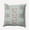 Breezy Green, variant on 16" x 16" Simply Daisy Let It Snow Polyester Accent Pillow, Omar Qty 1