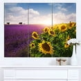 thumbnail image 2 of Designart - Lavender and Sunflower Fields - Floral Canvas Art Print, 2 of 3