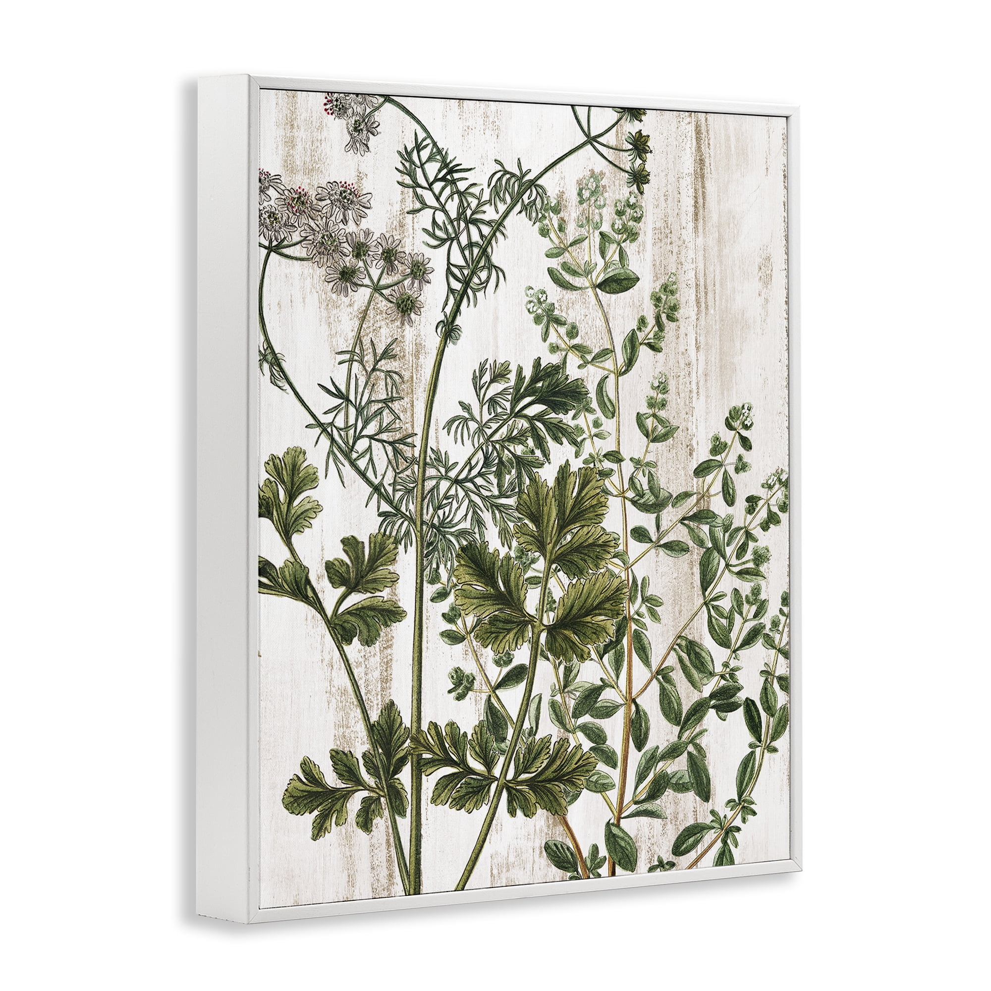 Stupell Industries Botanical Greenery Pattern Botanical & Floral Painting White Framed Art Print Wall Art, 16 x 20