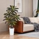 thumbnail image 5 of QinaQin Árbol artificial Dracaena de 4, 5 o 6 pies, hojas real touch y troncos multitonales, con maceta blanca alta para decoración interior, 5 of 8