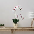 thumbnail image 6 of Home Accents 22-inch Artificial Real Touch Phalaenopsis Orchid in Cement Pot, White/Pink, 6 of 7