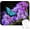 Colorful Pattern Art01, variant on 9.5x7.9 Inch Office/Gaming Mouse Pad, Tropical Rainbow Jungle Waterfall Vibrant Sunlit Forest Scenery, Cute Anti-Slip Mat for Desk Decor