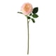 thumbnail image 5 of Rosa artificial de tallo largo, preservada para siempre. Rosa claro, 5 of 6