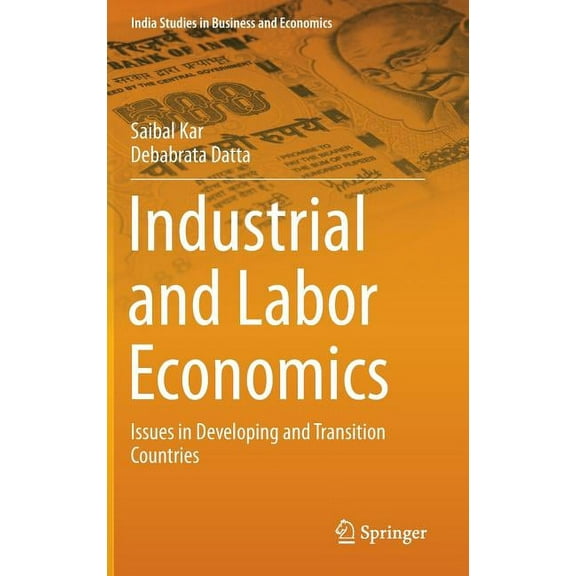 India Studies in Business and Economics Industrial and Labor Economics: Issues in Developing and Transition Countries, Book 25, (Hardcover)
