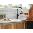 thumbnail image 7 of Delta 18804Z-Dst Theodora 1.8 GPM Single Hole Pre-Rinse Pull Down Kitchen Faucet - Black, 7 of 7
