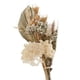 thumbnail image 5 of Hierba seca grande, hojas de palma, arreglos florales, adornos para tartas, flores, decoración de bodas, hogar Marrón, 5 of 7