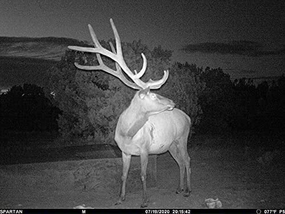 Spartan GoLive AT&T Blackout Cellular Trail Camera 8 MP