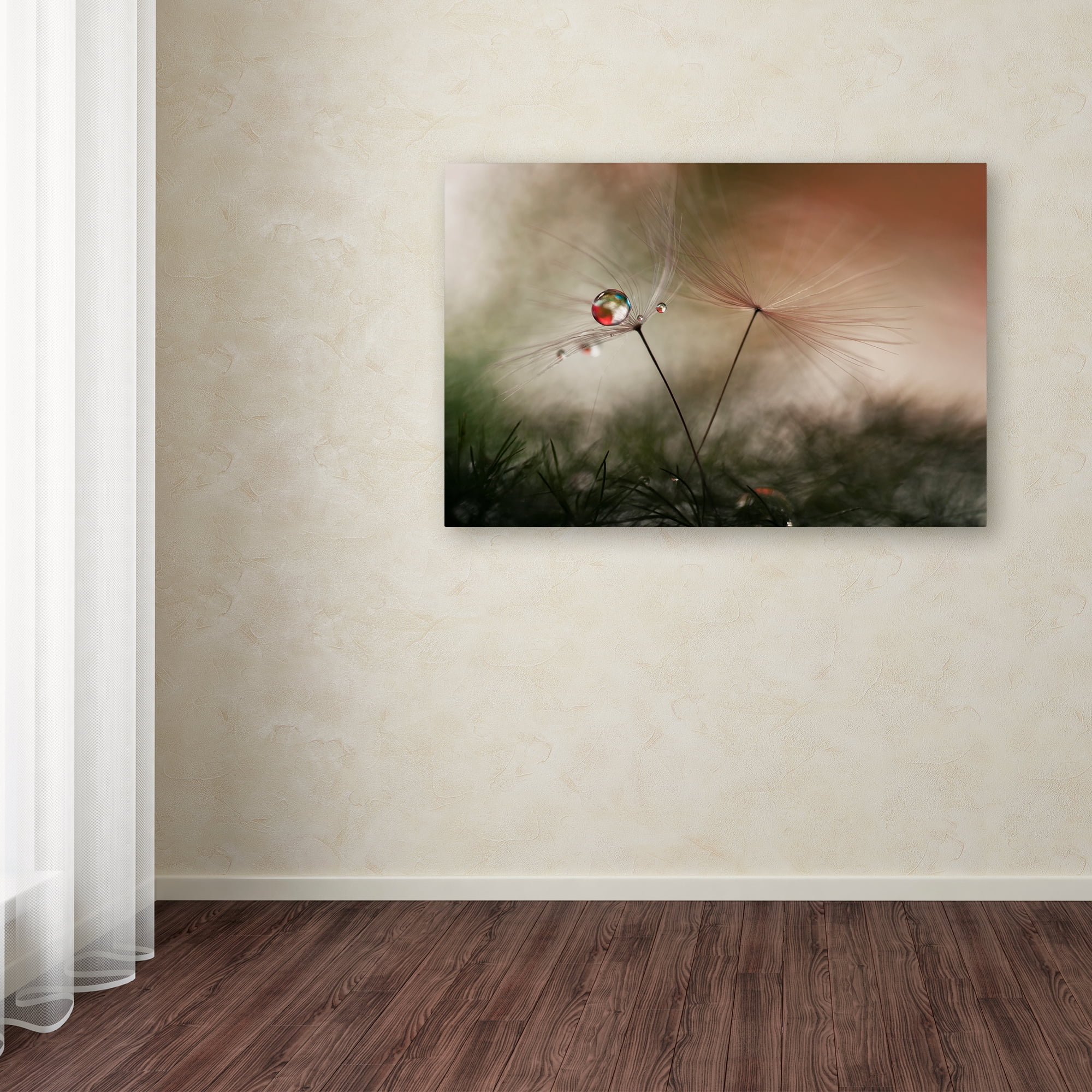 Trademark Fine Art 'With And Without' Canvas Art by Heidi Westum