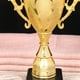 thumbnail image 2 of Trofeo Plástico Dorado Con Tapa Copa Dorada 8 5 Pulgadas Deportivo para Carreras Juegos, 2 of 5