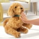 thumbnail image 5 of Moji interactivo de Labradoodle My Fuzzy Friends Sky Rocket, 5 of 9