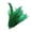 Green, variant on Lynono Co.,Ltd 40Pcs White Plumage 25 30Cm For Stage And Wedding Use