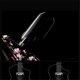 thumbnail image 4 of DOUBLE X2 Wireless Soundhole Pickup with Receiver Microphone,A, 4 of 5
