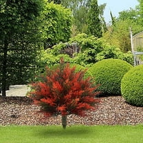 Danhjin Artificial Plants Outdoor, Fake Bushes Large Artificial Ferns for Outdoors, Faux Green Shrubs for Garden Porch Patio Yard Decor, Outdoor Plants, 23.62*22.83in