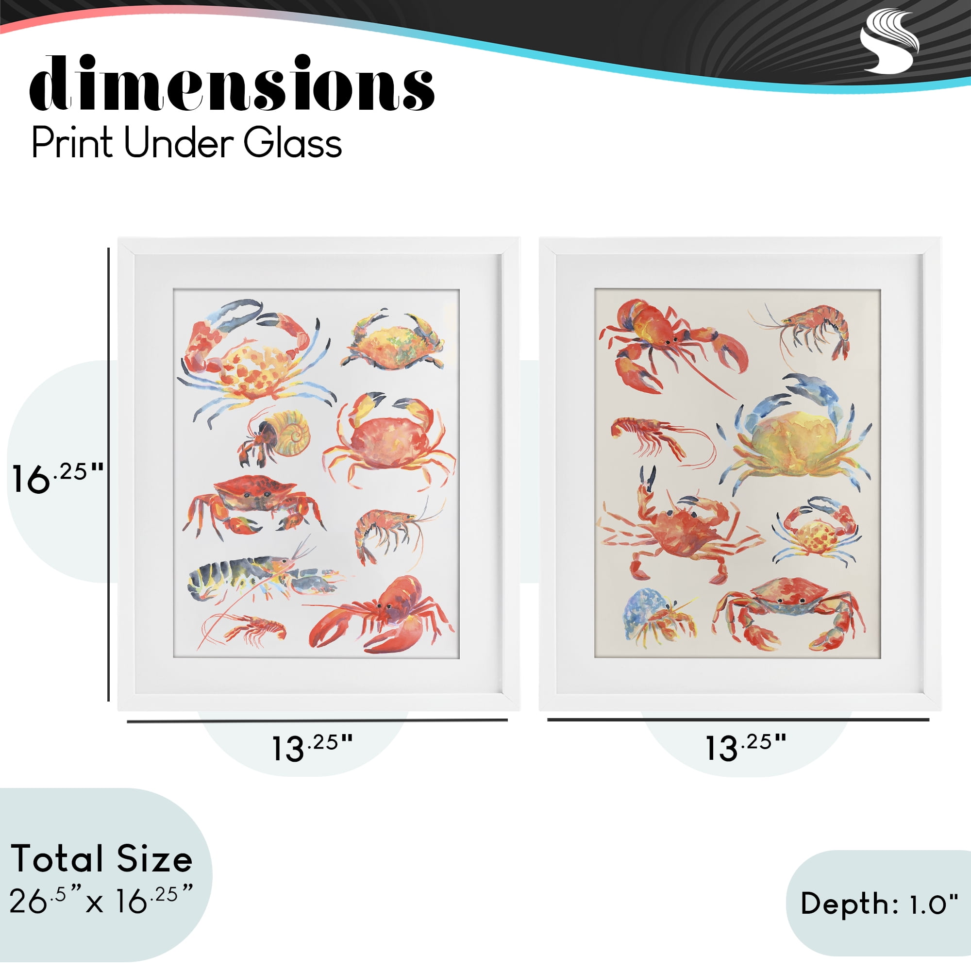 Stupell Industries Aquatic Crustacean Collection 2 Piece White Framed Print Under Glass Set, design by June Erica Vess